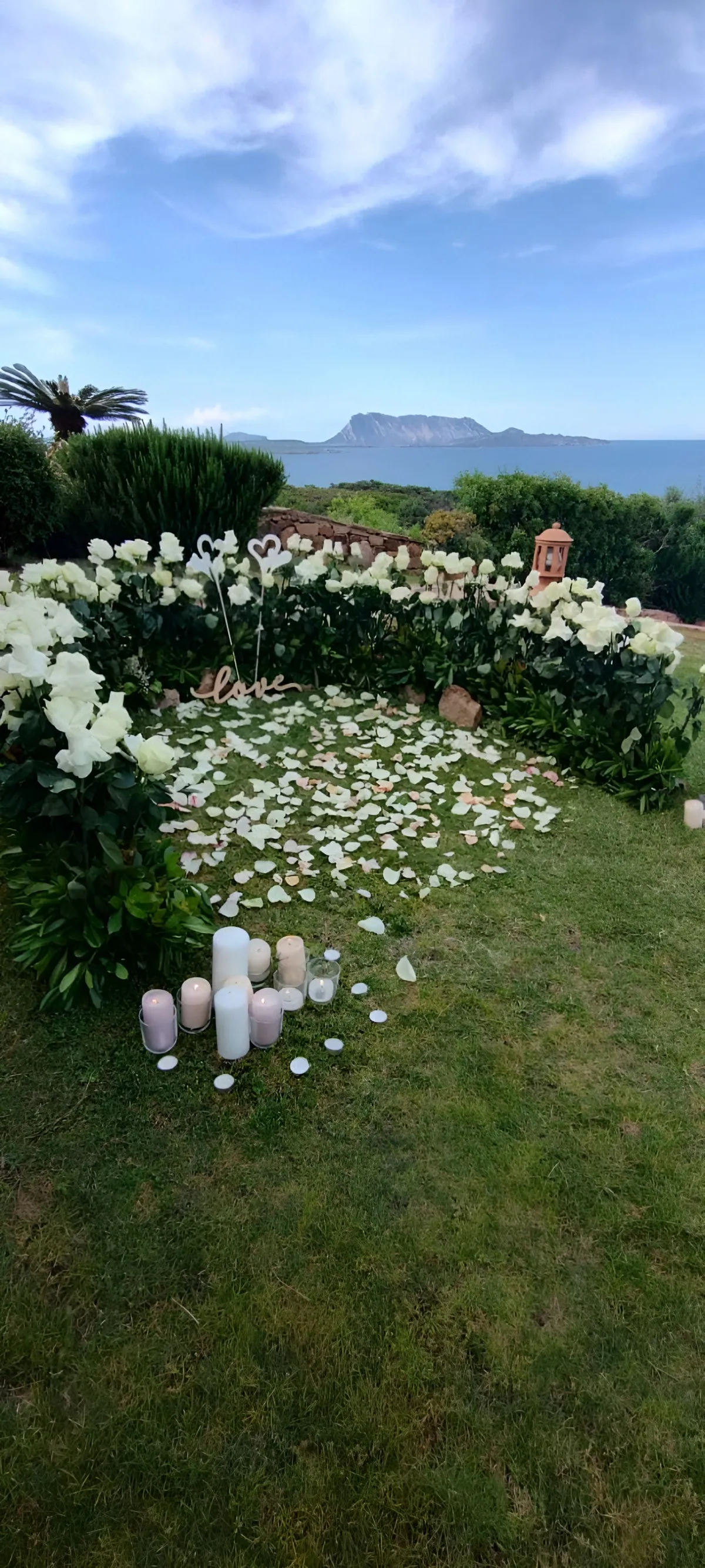 Cuore di fiori bianchi su un prato