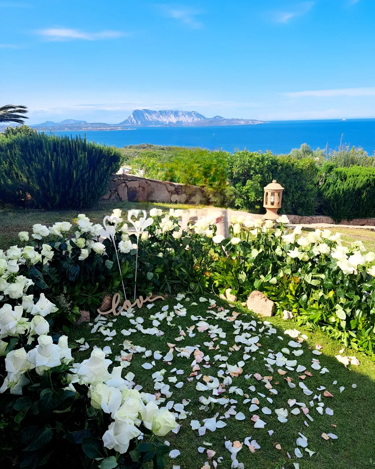 Prato di petali bianchi con vista sul mare